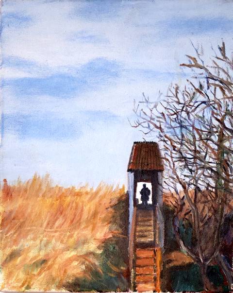 Minismere Hide