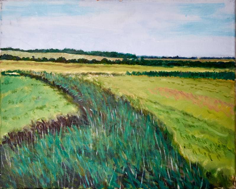 Reedbed. 50 x 40cm 