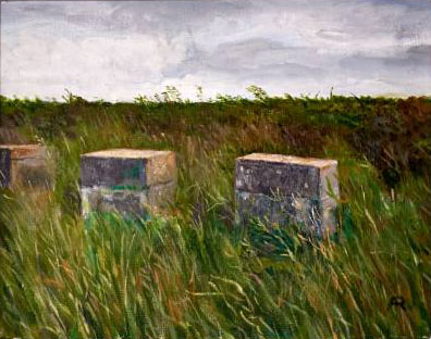 Minismere Tank Trap 2