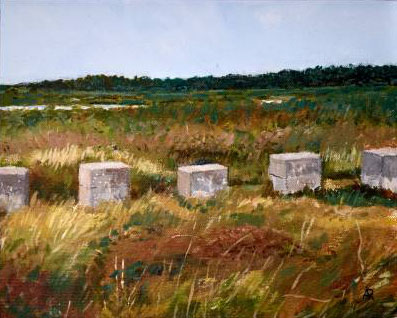 Minismere Tank Traps 3